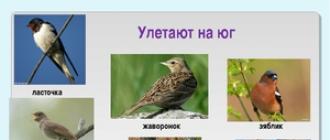 Осёдлые, зимующие и перелётные птицы: список, фото с названиями